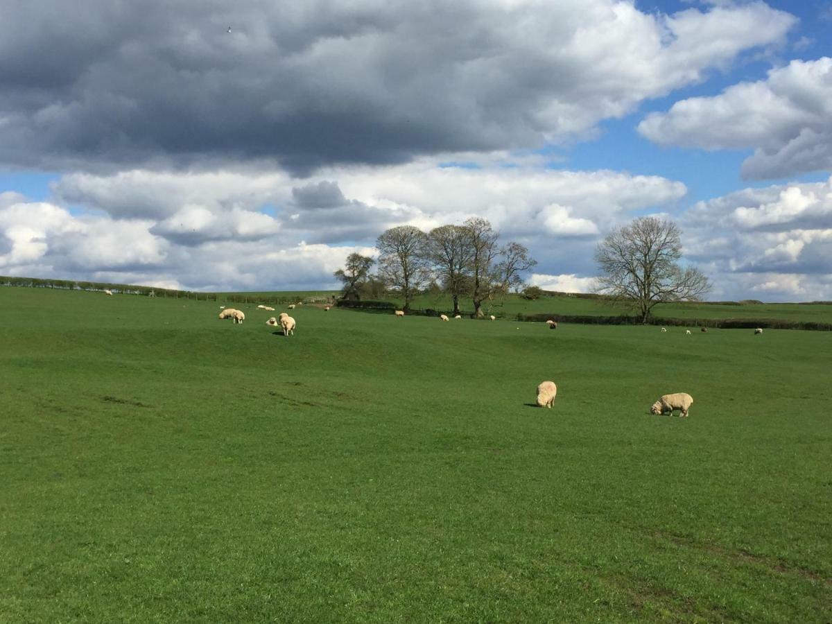 Вилла Weatherhead Farm Shepherds Hut Бакингем Экстерьер фото